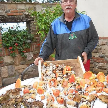 Agriturismo Poggio La Buca 팜스테이 *