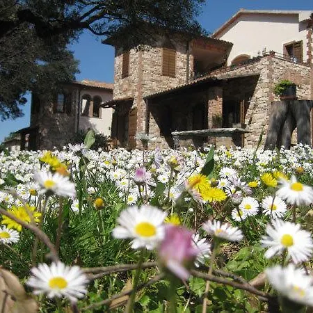 팜스테이 Agriturismo Poggio La Buca 씨비텔라마리티마