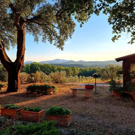 팜스테이 Agriturismo Poggio La Buca 씨비텔라마리티마