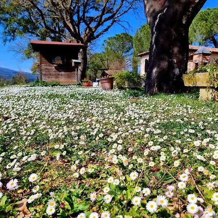 팜스테이 Agriturismo Poggio La Buca