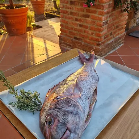 팜스테이 Agriturismo Poggio La Buca *