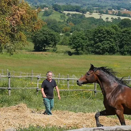 Agriturismo Poggio La Buca 팜스테이 씨비텔라마리티마
